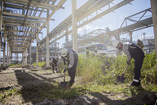 Чистота – забота общая